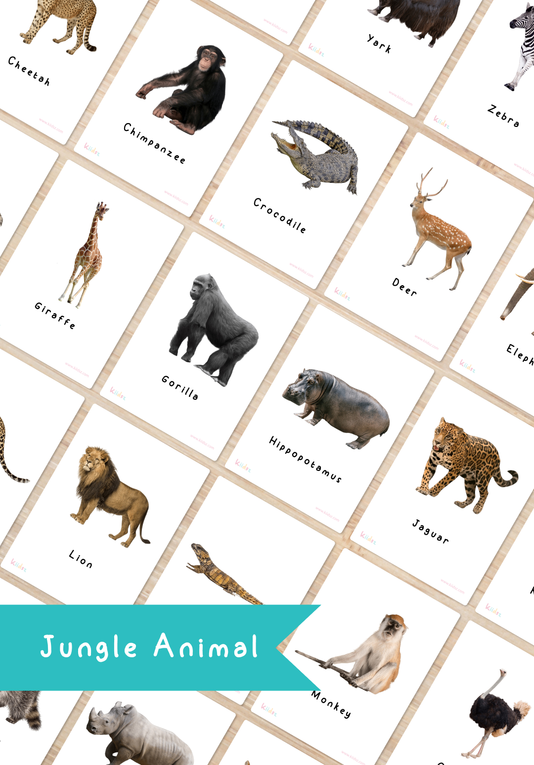 30 Wild Animals flashcards free download