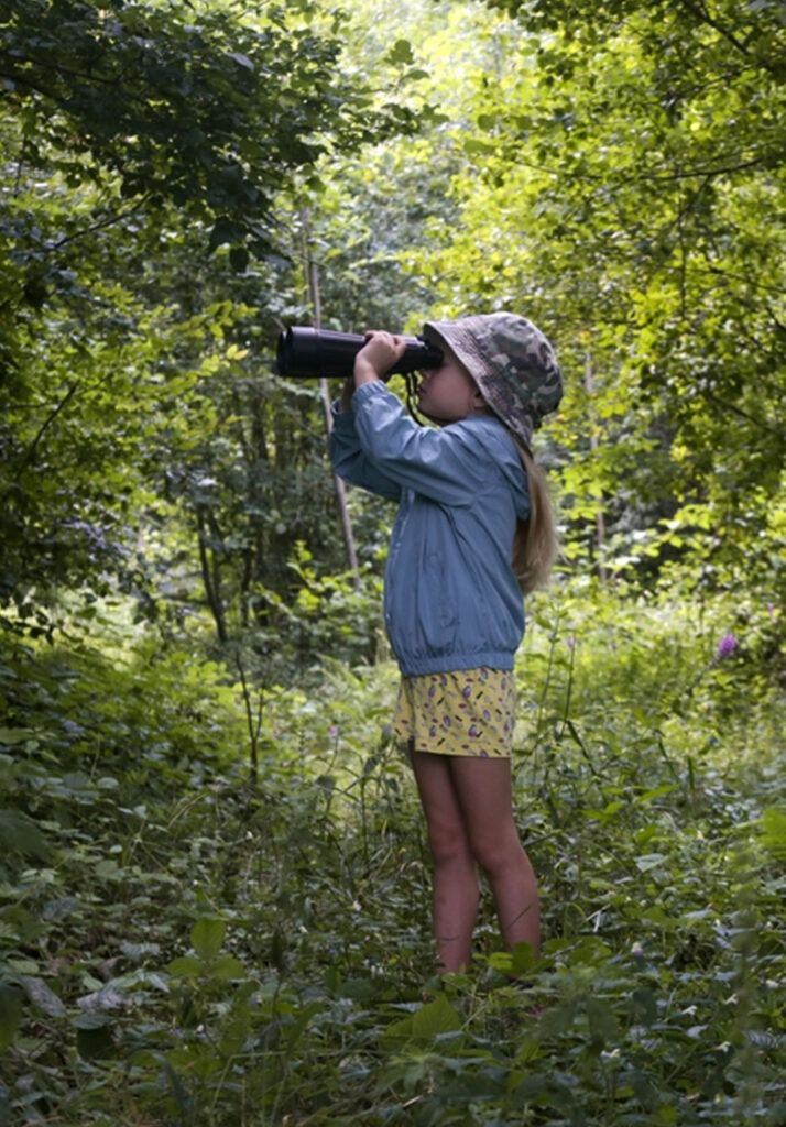 Bird watching game for kids
