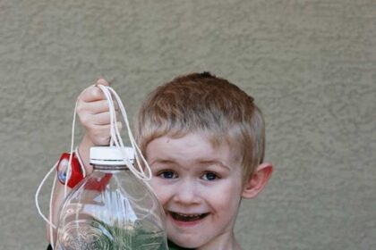 Tweet the Birdies Home: DIY Bird Feeders for Unforgettable Kids’ Birthdays