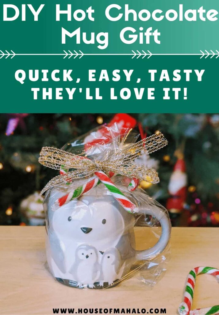 Hot Chocolate Gift Mugs for Kids