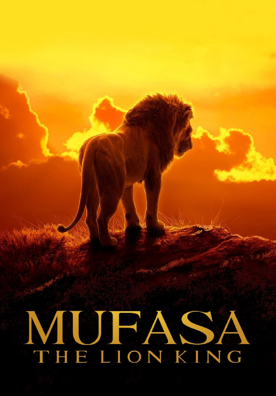 Kids Animation Movie Mufasa: The Lion King